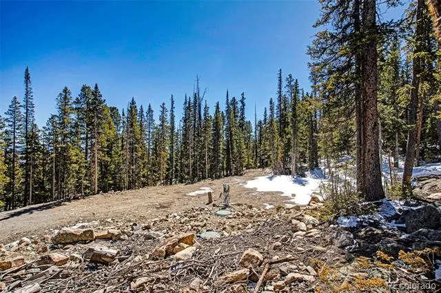 313 Porcupine Road Fairplay, CO 80440