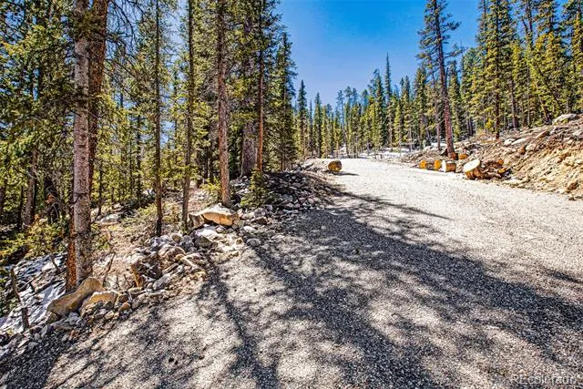 313 Porcupine Road Fairplay, CO 80440