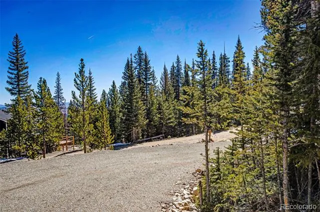 313 Porcupine Road Fairplay, CO 80440
