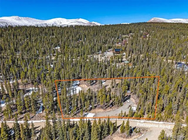 313 Porcupine Road Fairplay, CO 80440