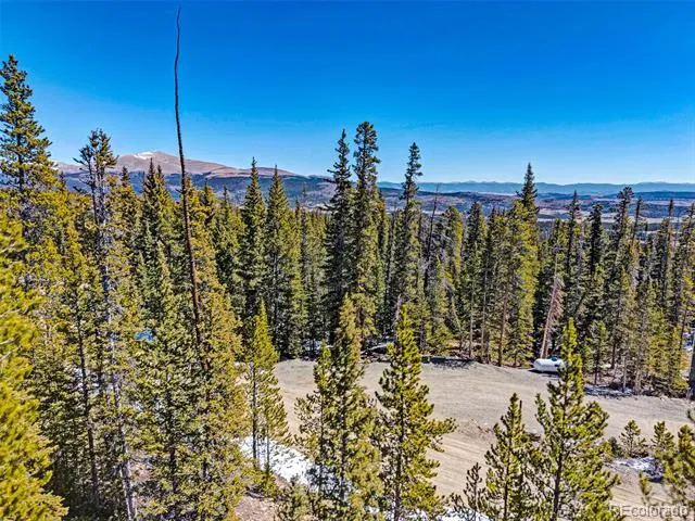 313 Porcupine Road Fairplay, CO 80440