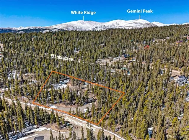 313 Porcupine Road Fairplay, CO 80440