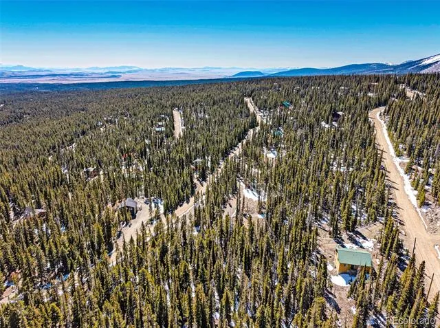313 Porcupine Road Fairplay, CO 80440