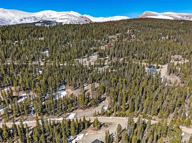 313 Porcupine Road Fairplay, CO 80440