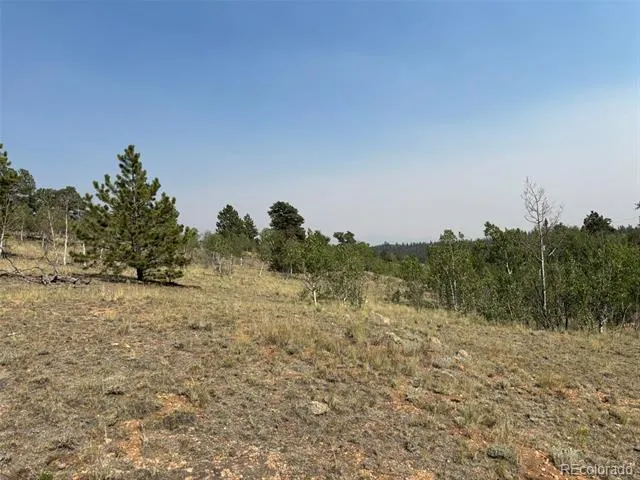 250 Pinto Trail Como, CO 80432