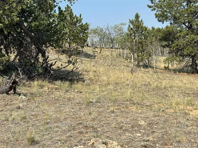 250 Pinto Trail Como, CO 80432