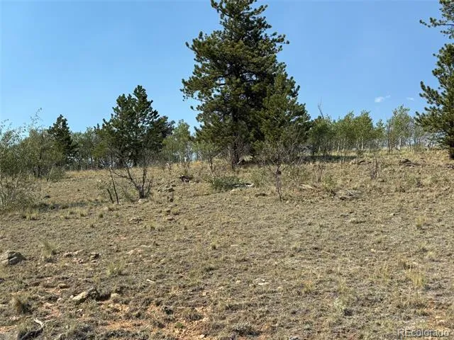 250 Pinto Trail Como, CO 80432