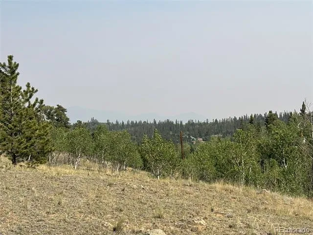 250 Pinto Trail Como, CO 80432