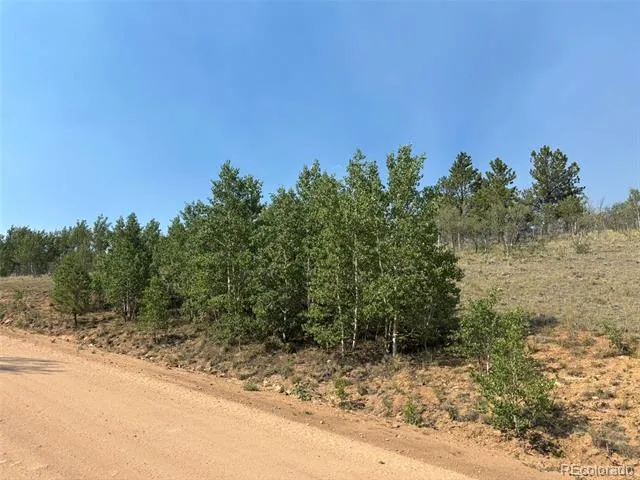 250 Pinto Trail Como, CO 80432
