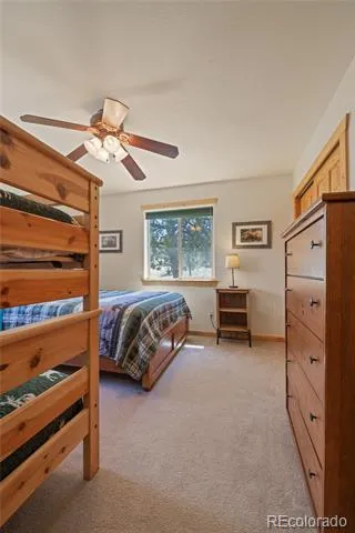 1948 Wagon Wheel Road Hartsel, CO 80449