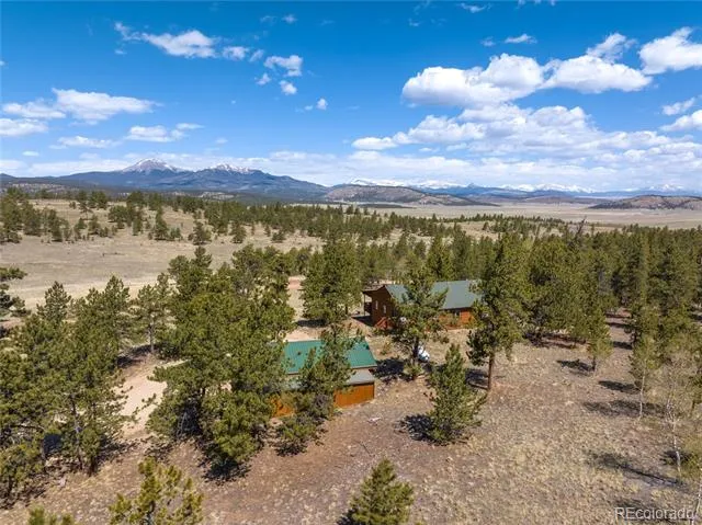 1948 Wagon Wheel Road Hartsel, CO 80449
