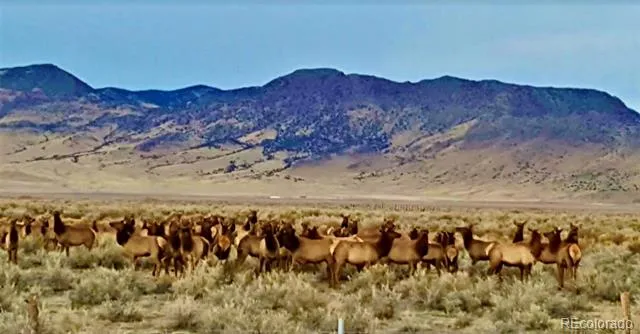 51781 County Road X Saguache, CO 81149