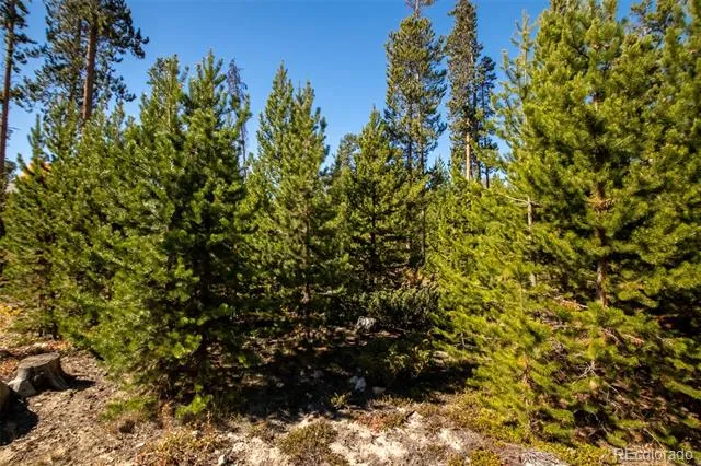 220 GCR 4571 Grand Lake, CO 80447