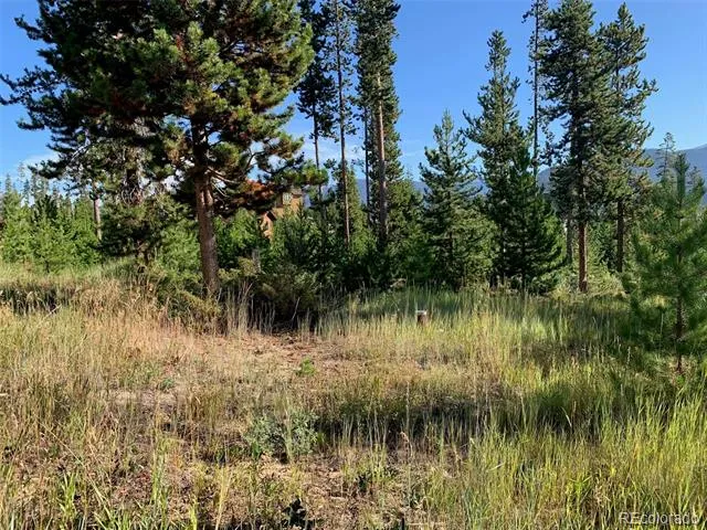 220 GCR 4571 Grand Lake, CO 80447