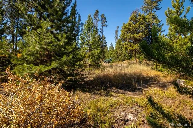220 GCR 4571 Grand Lake, CO 80447