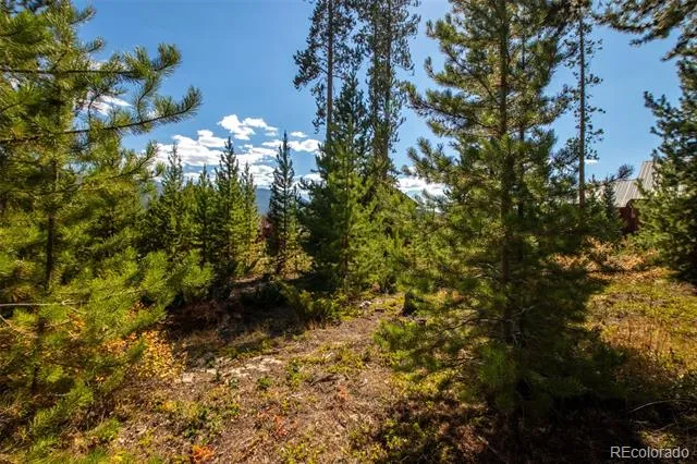 220 GCR 4571 Grand Lake, CO 80447