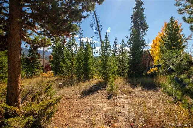 220 GCR 4571 Grand Lake, CO 80447