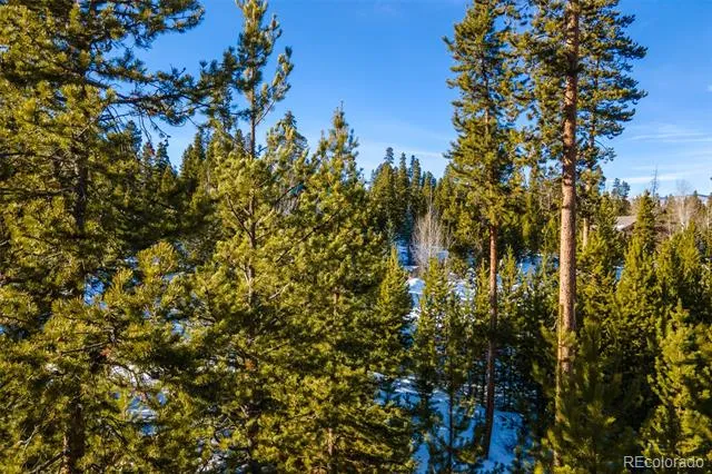 220 GCR 4571 Grand Lake, CO 80447