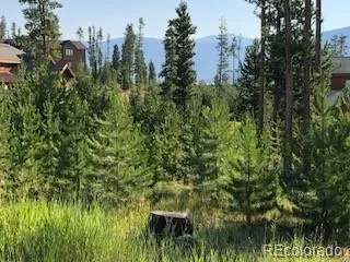 220 GCR 4571 Grand Lake, CO 80447