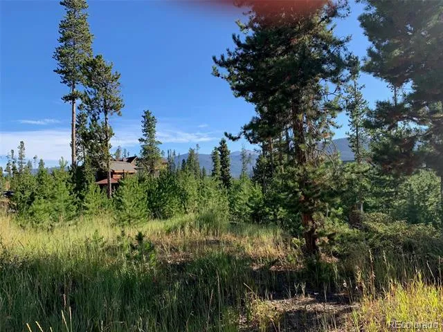 220 GCR 4571 Grand Lake, CO 80447