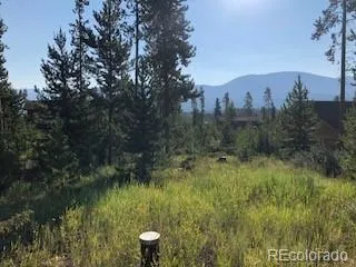 220 GCR 4571 Grand Lake, CO 80447