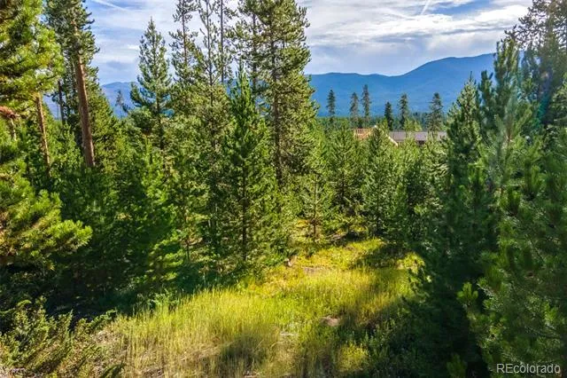 220 GCR 4571 Grand Lake, CO 80447