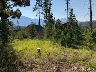220 GCR 4571 Grand Lake, CO 80447