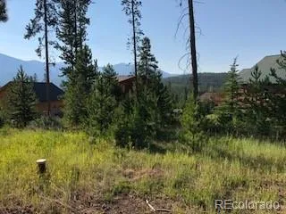 220 GCR 4571 Grand Lake, CO 80447