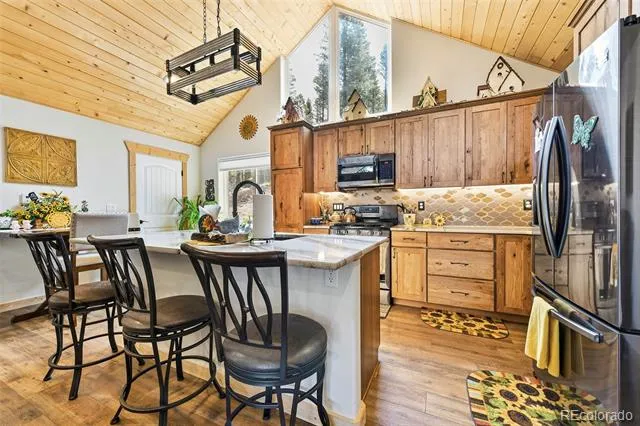 100 Wildcat Creek Drive Florissant, CO 80816