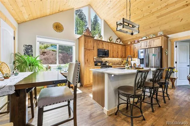 100 Wildcat Creek Drive Florissant, CO 80816