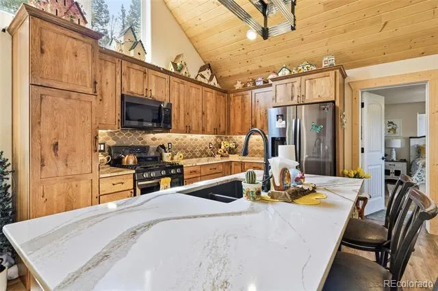 100 Wildcat Creek Drive Florissant, CO 80816