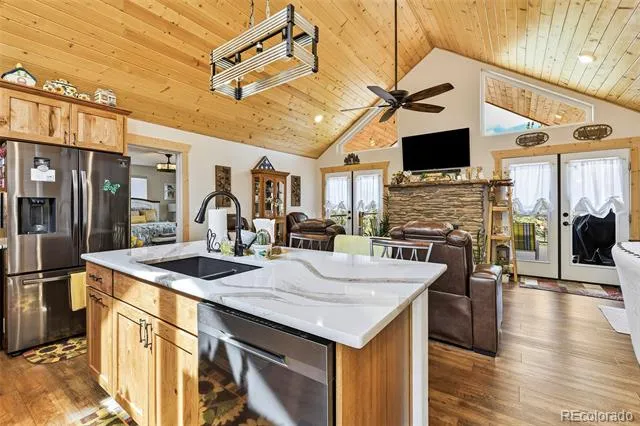 100 Wildcat Creek Drive Florissant, CO 80816