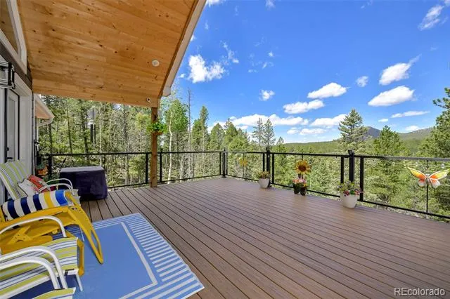 100 Wildcat Creek Drive Florissant, CO 80816