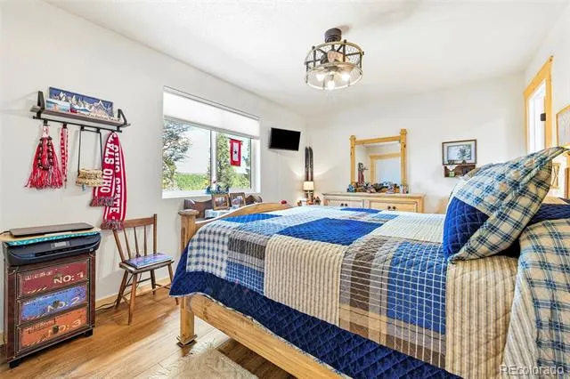 100 Wildcat Creek Drive Florissant, CO 80816