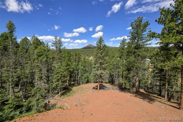 100 Wildcat Creek Drive Florissant, CO 80816