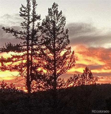 100 Wildcat Creek Drive Florissant, CO 80816