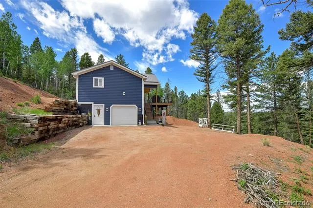 100 Wildcat Creek Drive Florissant, CO 80816