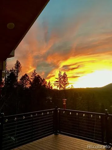 100 Wildcat Creek Drive Florissant, CO 80816