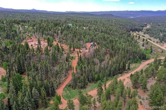 100 Wildcat Creek Drive Florissant, CO 80816