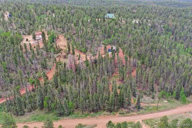 100 Wildcat Creek Drive Florissant, CO 80816