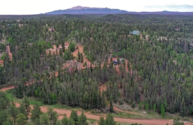 100 Wildcat Creek Drive Florissant, CO 80816