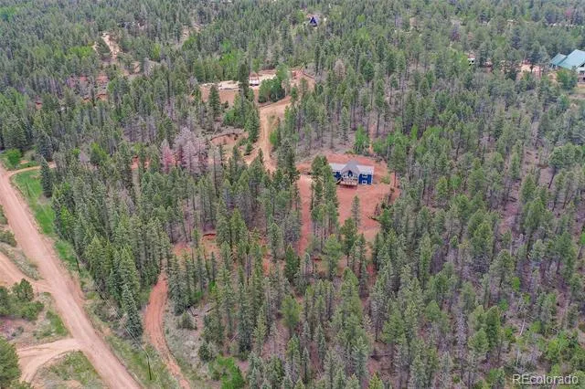 100 Wildcat Creek Drive Florissant, CO 80816