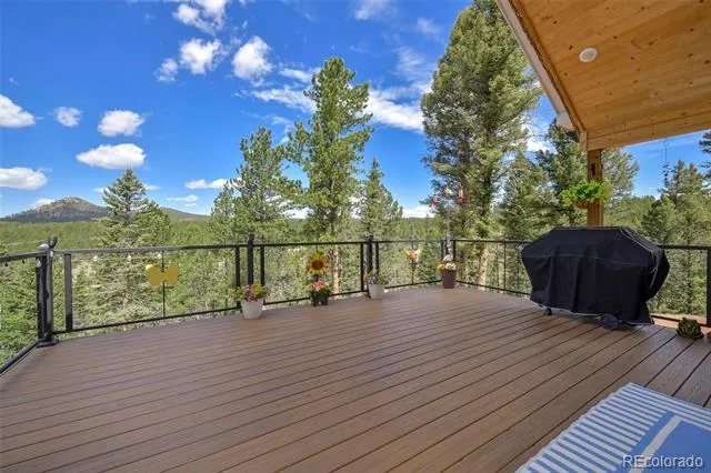 100 Wildcat Creek Drive Florissant, CO 80816
