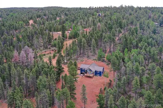 100 Wildcat Creek Drive Florissant, CO 80816