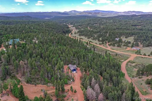 100 Wildcat Creek Drive Florissant, CO 80816