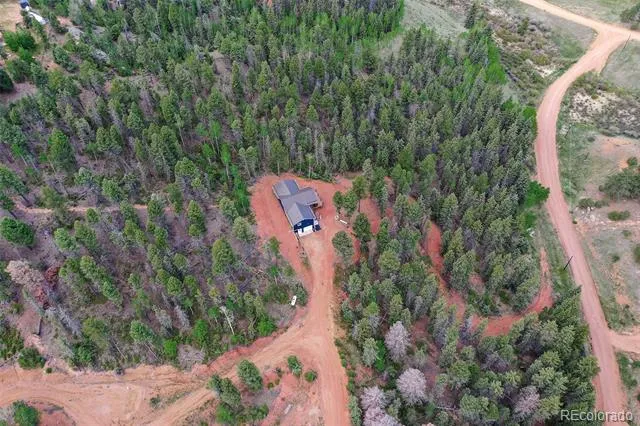 100 Wildcat Creek Drive Florissant, CO 80816