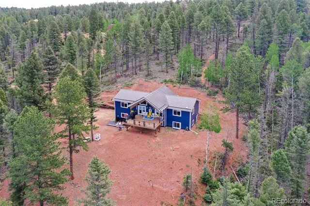 100 Wildcat Creek Drive Florissant, CO 80816