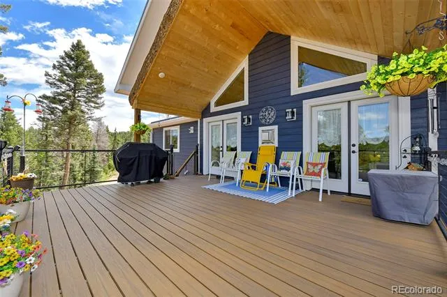 100 Wildcat Creek Drive Florissant, CO 80816