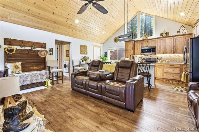 100 Wildcat Creek Drive Florissant, CO 80816