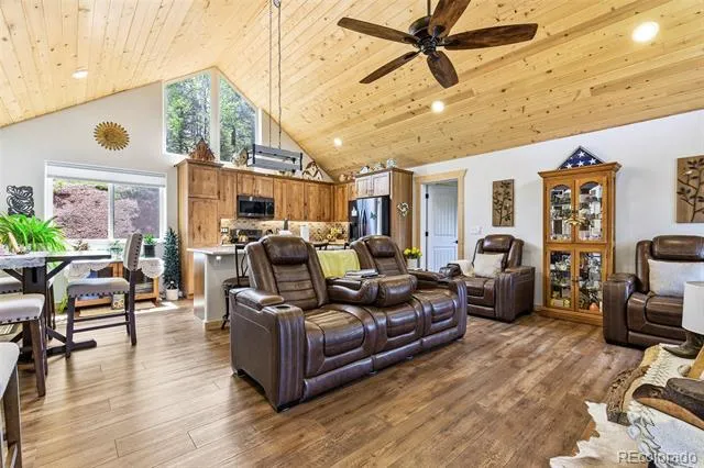 100 Wildcat Creek Drive Florissant, CO 80816